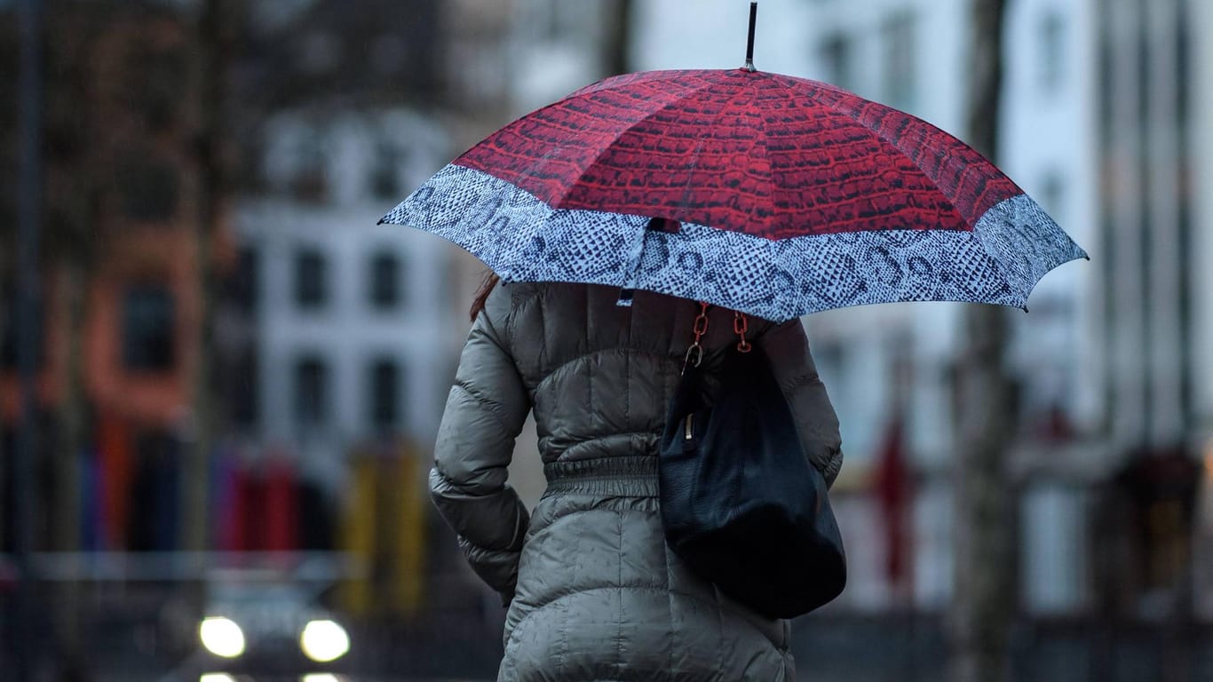 Aufgrund des Tiefs "Bennet" kommt es auch in Wuppertal zu Sturm und Regen. Der Zoo wurde vorsorglich geschlossen. (Symbolfoto)