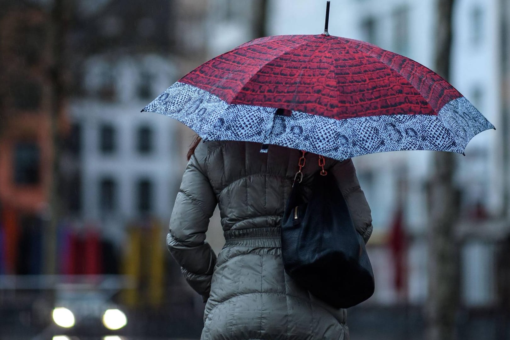 Aufgrund des Tiefs "Bennet" kommt es auch in Wuppertal zu Sturm und Regen. Der Zoo wurde vorsorglich geschlossen. (Symbolfoto)