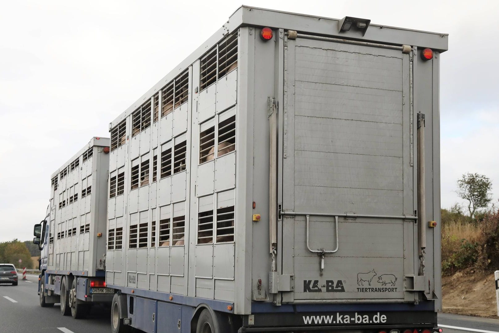 Tiertransporter (Symbolbild): Der Fahrer eines Lastwagens bemerkte am Montag eine Rauchentwicklung im Motor.