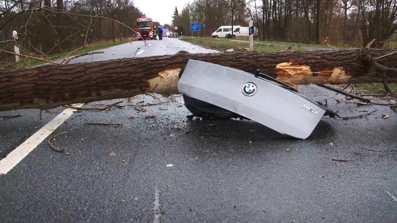Ein umgestürzter Baum liegt auf der Landstrasse bei Ochtrup auf einem Autoteil: Ein 37-jähriger Mann war auf einer Landstraße unterwegs, als der Baum umfiel und das Fahrzeug traf.
