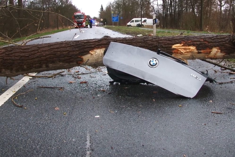 Ein umgestürzter Baum liegt auf der Landstrasse bei Ochtrup auf einem Autoteil: Ein 37-jähriger Mann war auf einer Landstraße unterwegs, als der Baum umfiel und das Fahrzeug traf.