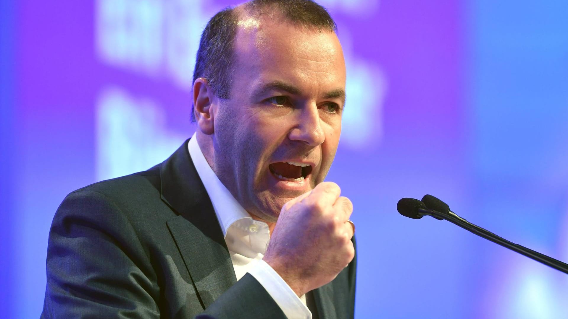 Manfred Weber.