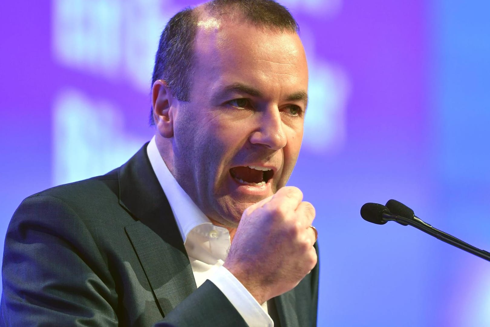 Manfred Weber.