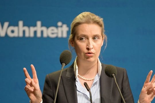 In der Spendenaffäre um die AfD-Politikerin Alice Weidel gibt es neue Vorwürfe aus der eigenen Partei.