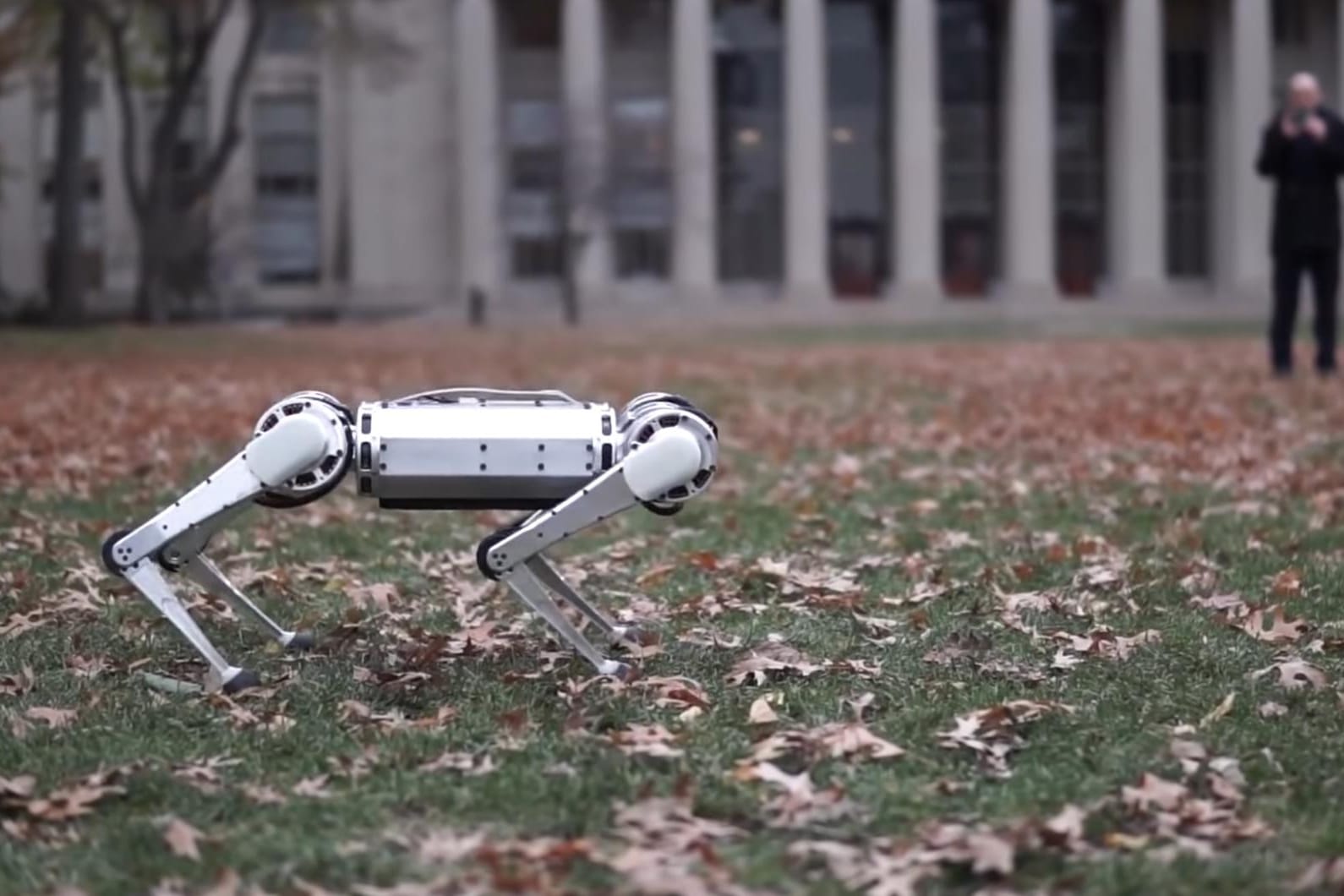 Der "Mini Cheetah": Der vierbeinige Roboter kann einen Salto machen.