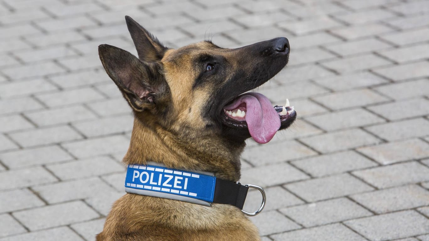 Polizeihund: Diensthundeführer haben für den Fall einer Vergiftung immer ein Notfallset dabei.