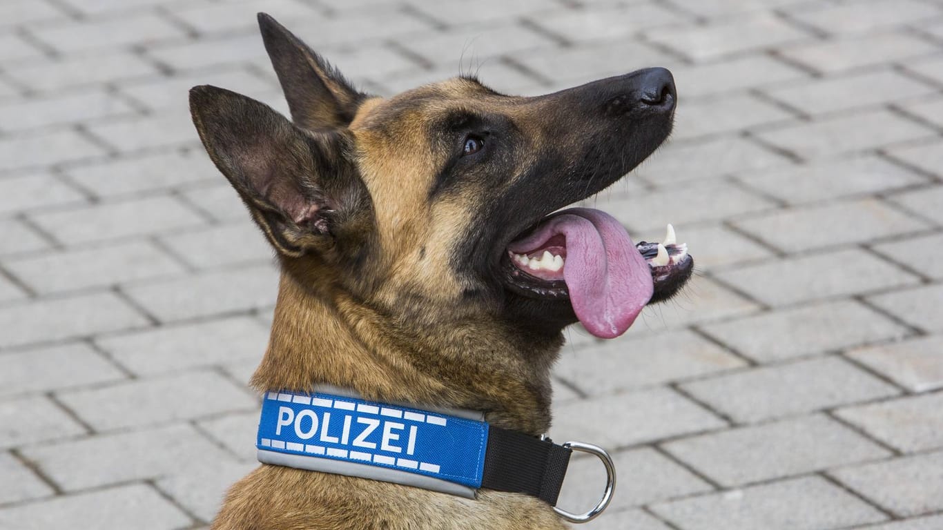 Polizeihund: Diensthundeführer haben für den Fall einer Vergiftung immer ein Notfallset dabei.