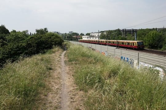 Blick auf einen Bahndamm in Pankow
