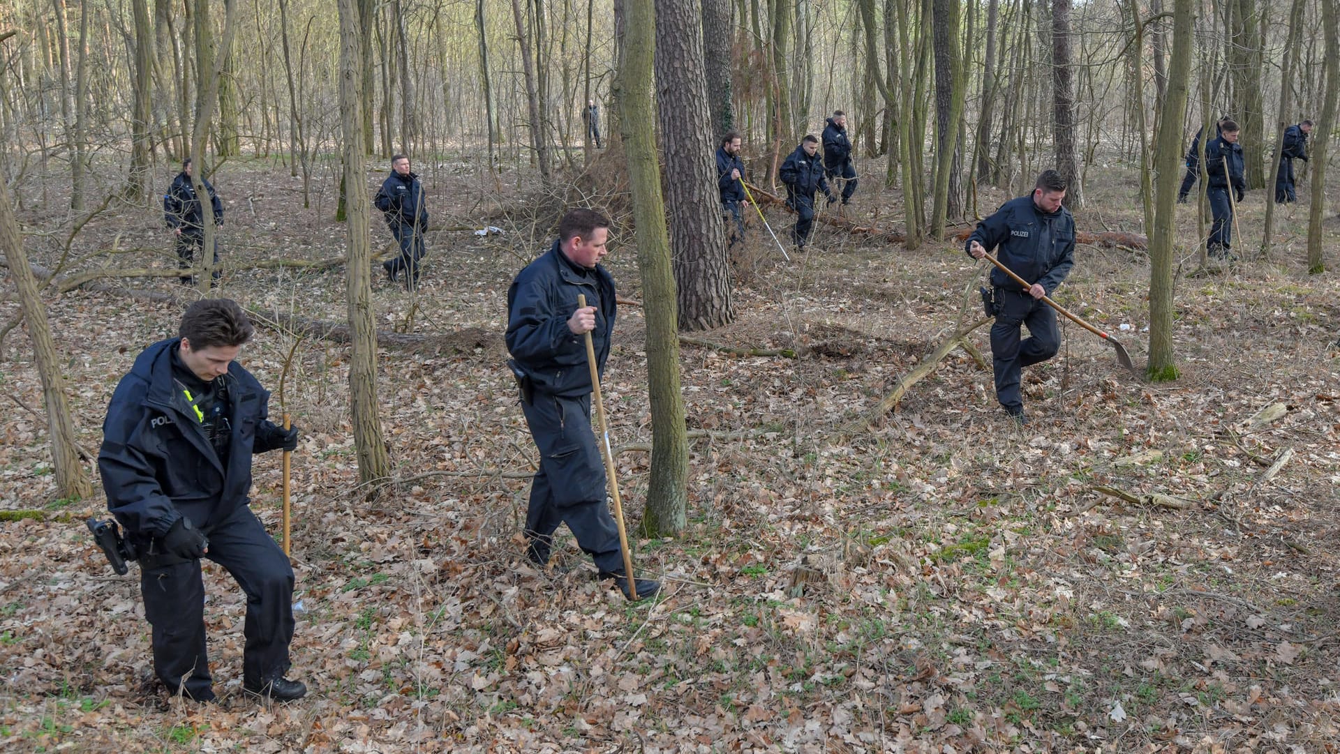 Wo ist Rebecca? Auf der Suche nach der 15-Jährigen durchforsten Polizisten einen Wald bei Berlin.