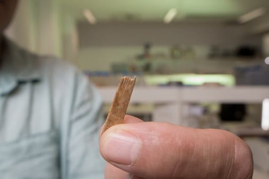 Vermutet wird, dass zwei Kämme aus Vogelknochen hergestellt wurden und die anderen beiden Kämme aus Menschenknochen.