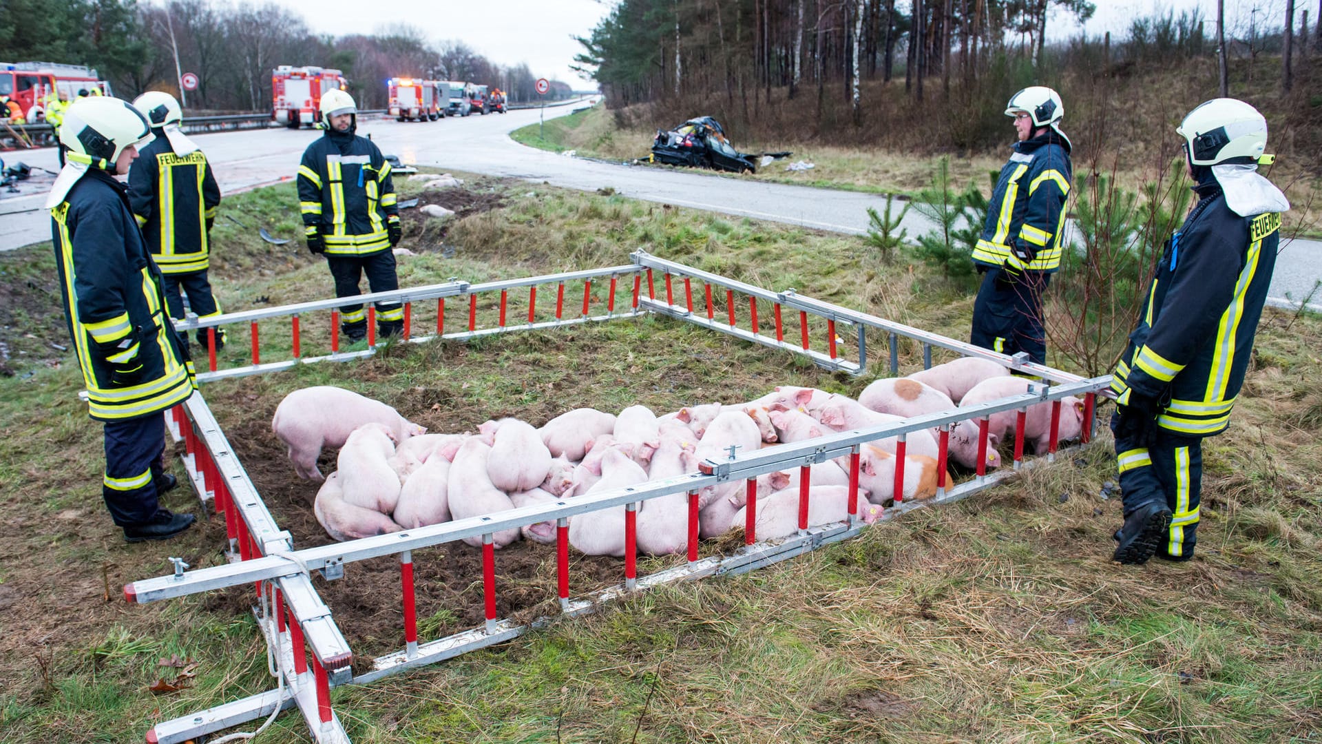 Drei Tote bei Unfall auf der A24