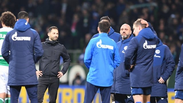 Nächste Schalker Pleite: Trainer Domenico Tedesco muss seine Spieler erneut aufbauen. Nächste Schalker Pleite: Trainer Domenico Tedesco muss seine Spieler erneut aufbauen.