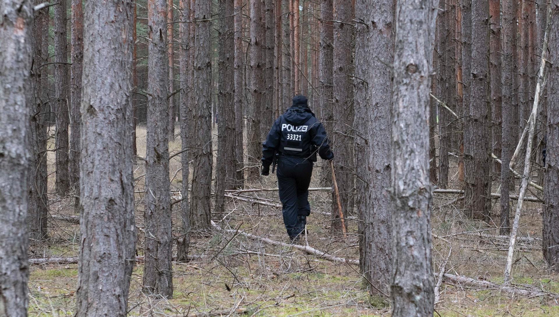 Bereits am Samstag suchte die Polizei in dem Waldstück nach Rebecca – erfolglos. Ein Polizist durchsucht das Waldstück in Brandenburg nach Rebecca.