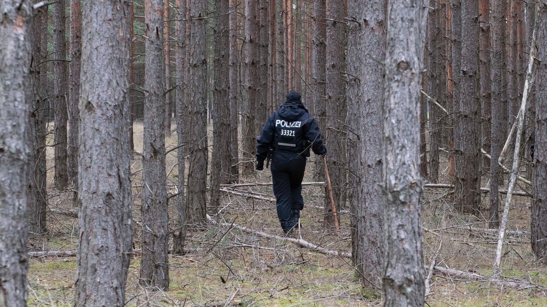 Bereits am Samstag suchte die Polizei in dem Waldstück nach Rebecca – erfolglos. Ein Polizist durchsucht das Waldstück in Brandenburg nach Rebecca.