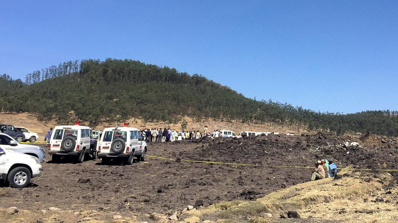 Die Absturzstelle in Äthiopien: Von dem Flugzeug ist fast nichts übrig geblieben.