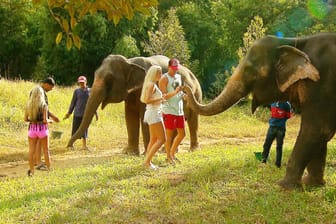 Christina, Salvatore, Lena, Robin: RTL wollte, dass sich die Paarungen beim Elefantenreiten näher kommen.