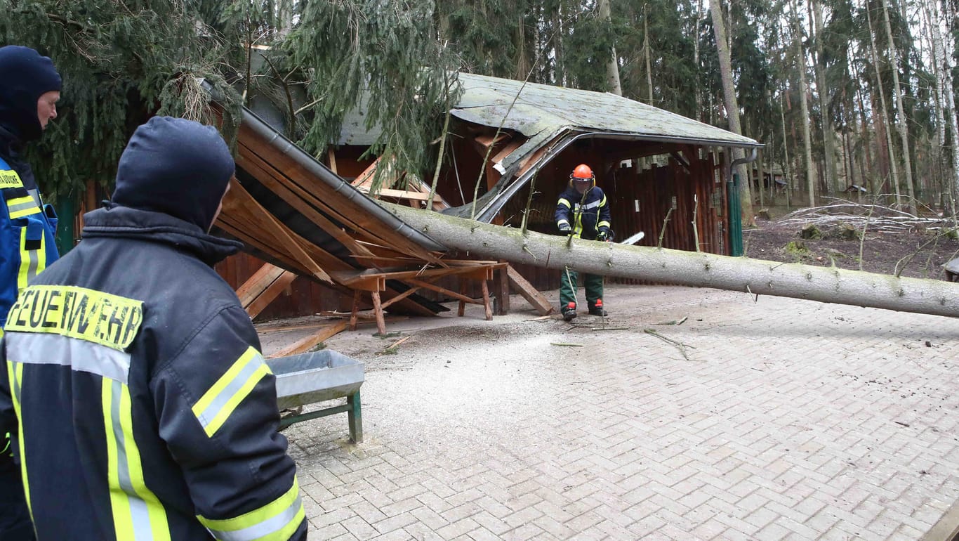 Thüringen, Gera: Feuerwehrleute beseitigen Sturmschäden im Tierpark. Das Tief Eberhard hat in der vergangenen Nacht viele Schäden angerichtet.