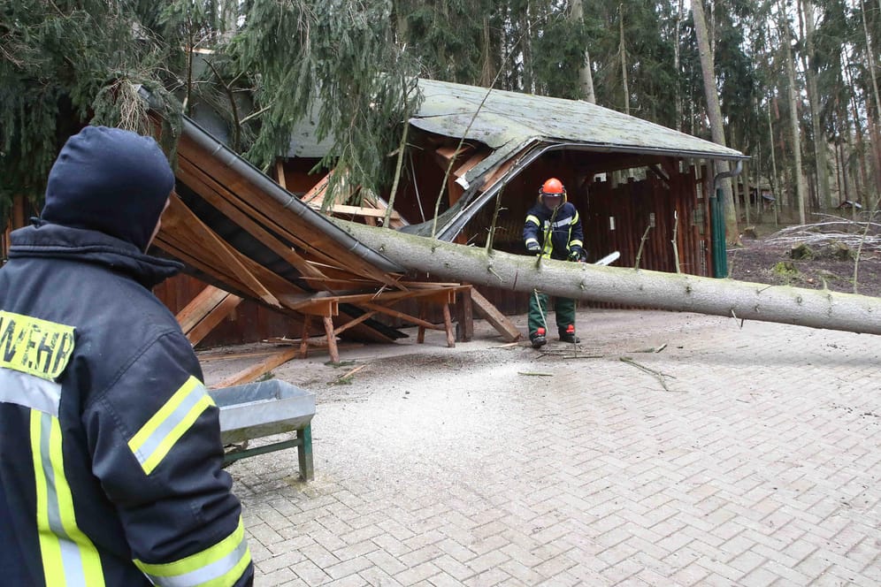 Thüringen, Gera: Feuerwehrleute beseitigen Sturmschäden im Tierpark. Das Tief Eberhard hat in der vergangenen Nacht viele Schäden angerichtet.