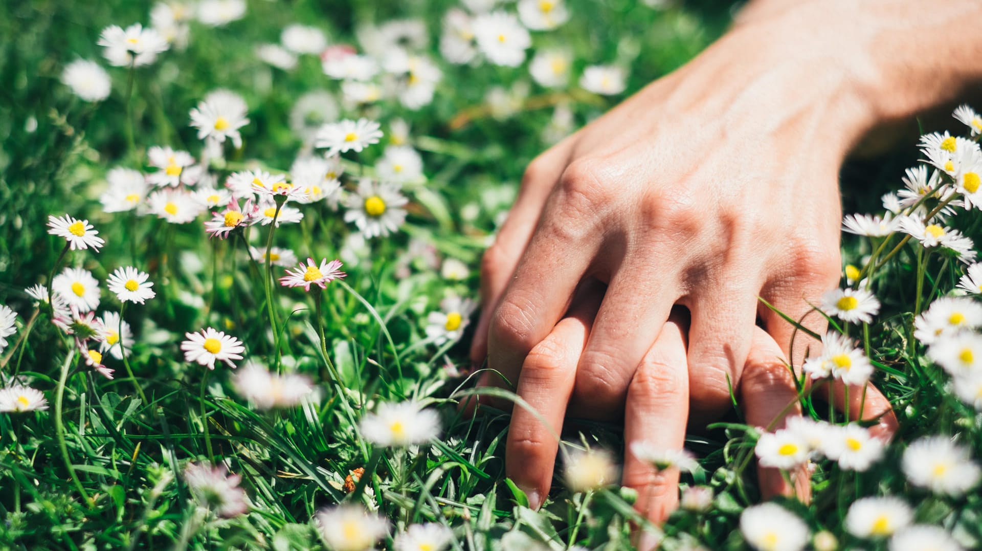 Erwischt: Sex in einem öffentlichen Park kann teuer werden. (Symbolfoto)