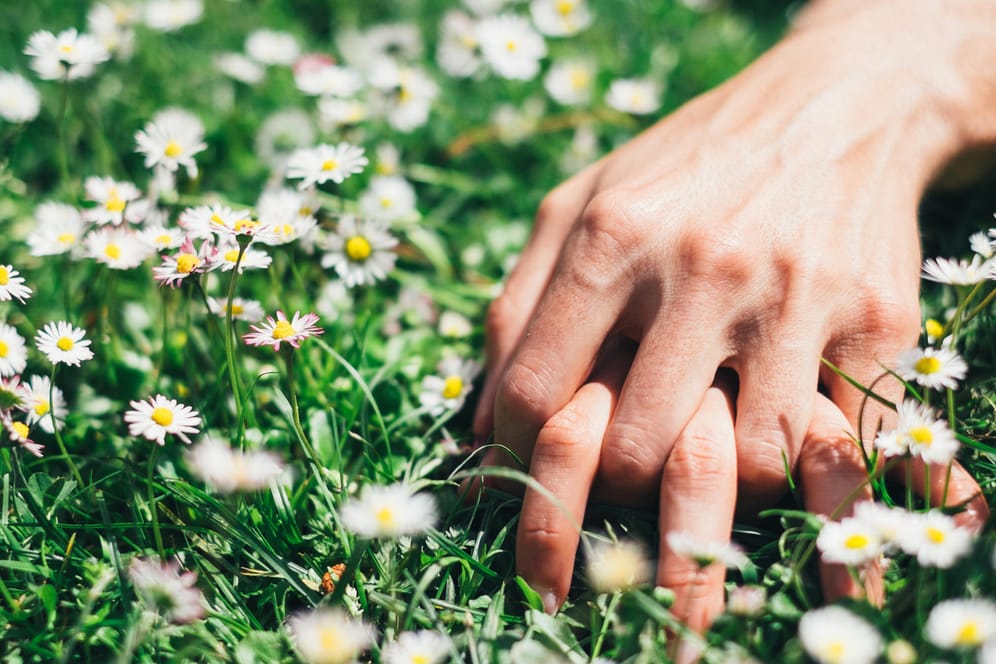 Erwischt: Sex in einem öffentlichen Park kann teuer werden. (Symbolfoto)