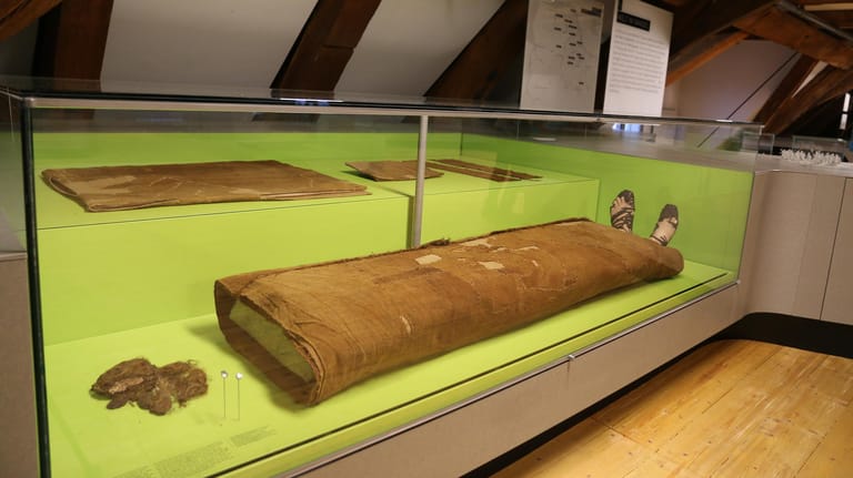 Museum Stade: Dort sind sind die Überreste des sogenannten Mannes von Obenaltendorf zu sehen.