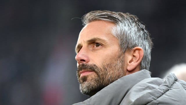 Marco Rose wird als Favorit für den Trainerposten beim VfL Wolfsburg als Nachfolger von Bruno Labbadia gehandelt. Marco Rose wird als Favorit für den Trainerposten beim VfL Wolfsburg als Nachfolger von Bruno Labbadia gehandelt.