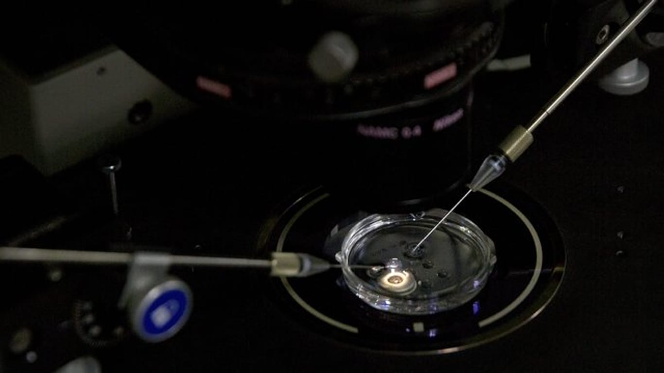 In einem Labor im chinesischen Shenzhen wird eine Embryo behandelt.