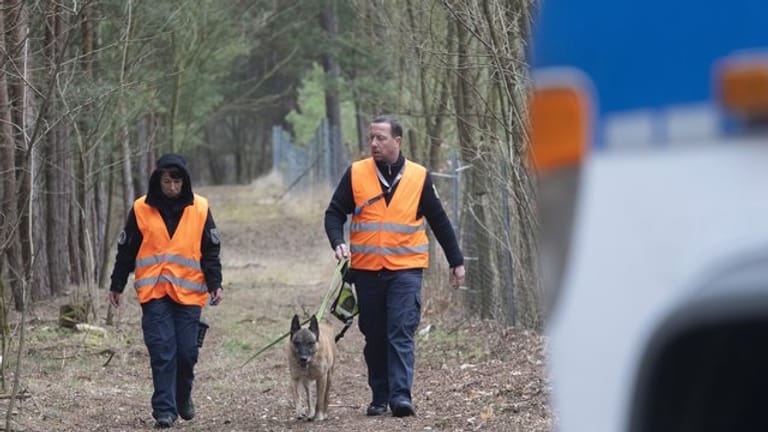 Hundeführer der Polizei gehen im Landkreis Oder-Spree durch ein Waldstück.