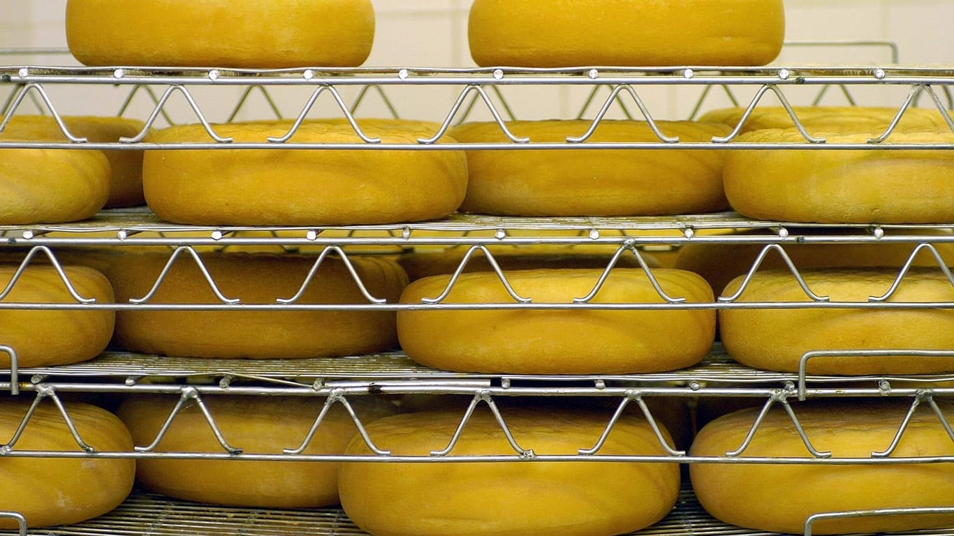 Käse in Reiferaum-Regal (Symbolbild): Bevor der Lkw aufgerichtet und abgeschleppt werden konnte, musste ein Bergungsunternehmen die 24 Tonnen Käse aufsammeln.