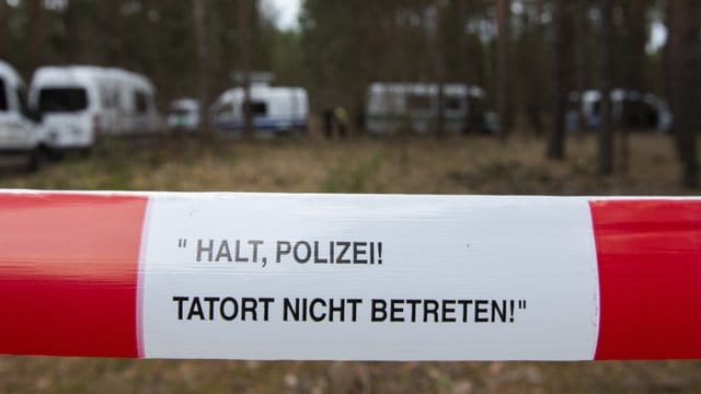 Die Polizei sucht seit Wochen nach Rebecca - hier in der vergangenen Woche in einem Wald im Landkreis Oder-Spree.