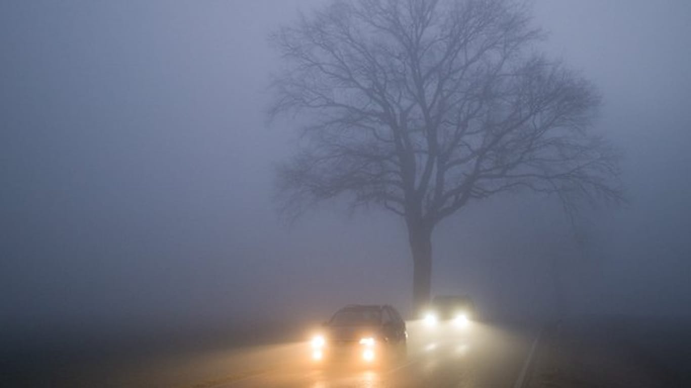 Im Nebel sollten Autofahrer das Tempo reduzieren und das Abblendlicht anmachen.