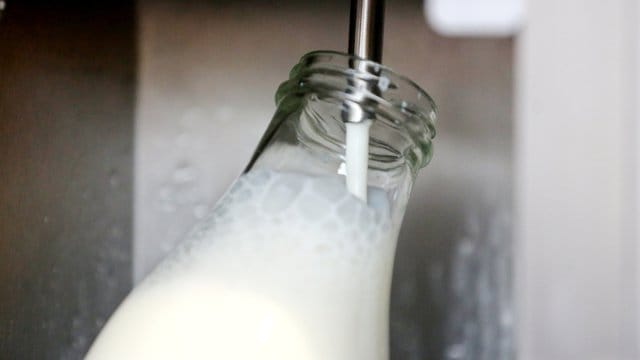 Befüllung einer Milchflasche Befüllung einer Milchflasche