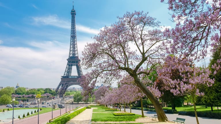 Paris im Frühling: In Pariser Parks wird mit der Frühjahrsbepflanzung bereits im März begonnen.