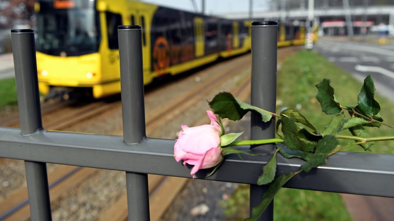 Utrecht trauert: Eine Blume erinnert an die Bluttat in der Straßenbahn.