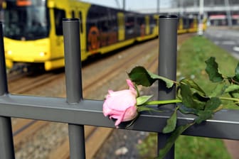 Utrecht trauert: Eine Blume erinnert an die Bluttat in der Straßenbahn.