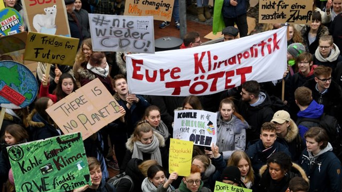 "Fridays for Future"-Protest in Elmshorn.