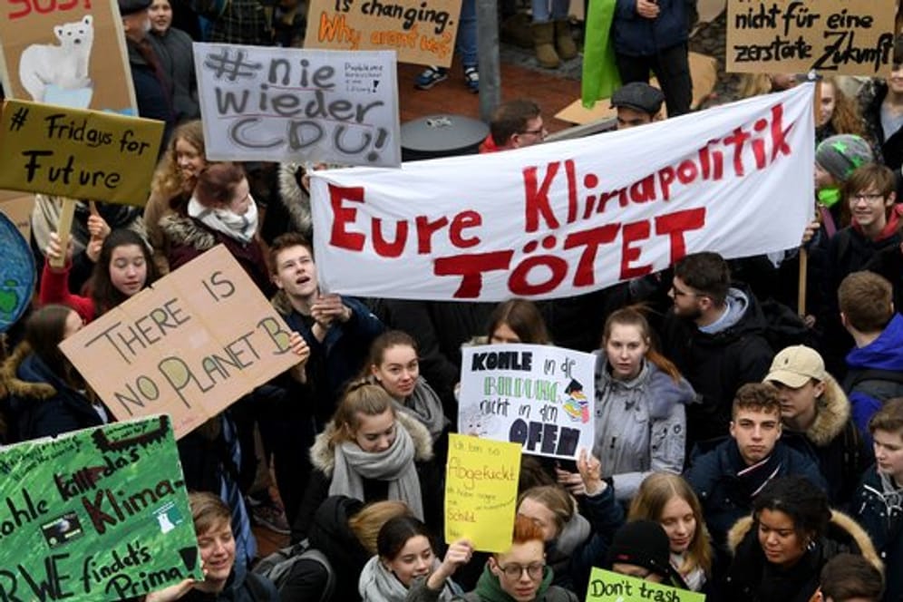 "Fridays for Future"-Protest in Elmshorn.