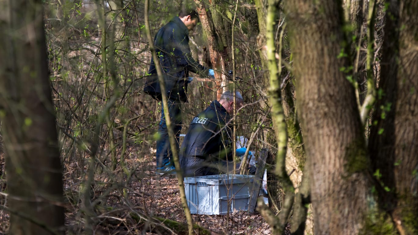 Schleswig-Holstein: Ermittler der Polizei stehen in einem Waldstück. Schüler sollen dort am Vormittag die Leiche eines Kindes gefunden haben.