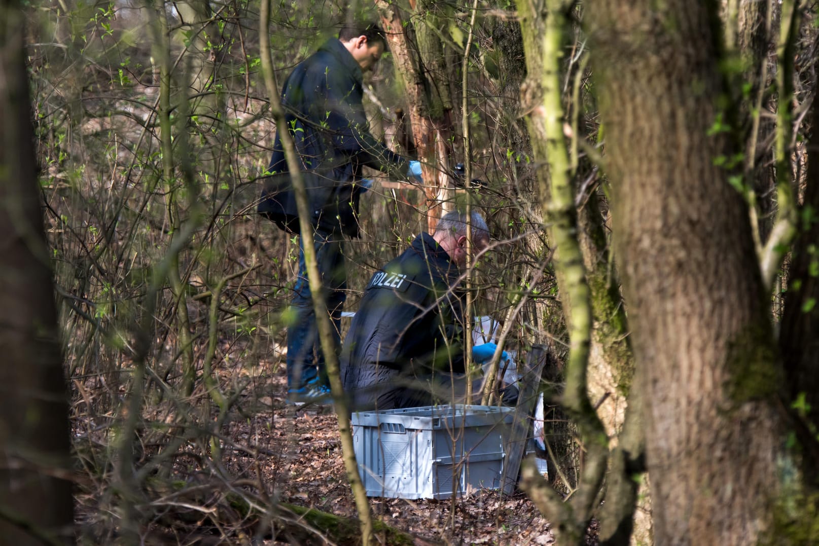 Schleswig-Holstein: Ermittler der Polizei stehen in einem Waldstück. Schüler sollen dort am Vormittag die Leiche eines Kindes gefunden haben.