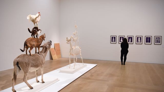 Eine Mitarbeiterin des Museums schaut sich in der Ausstellung "Tierischer Aufstand" Siebdrucke von Mark Dion an. Eine Mitarbeiterin des Museums schaut sich in der Ausstellung "Tierischer Aufstand" Siebdrucke von Mark Dion an.