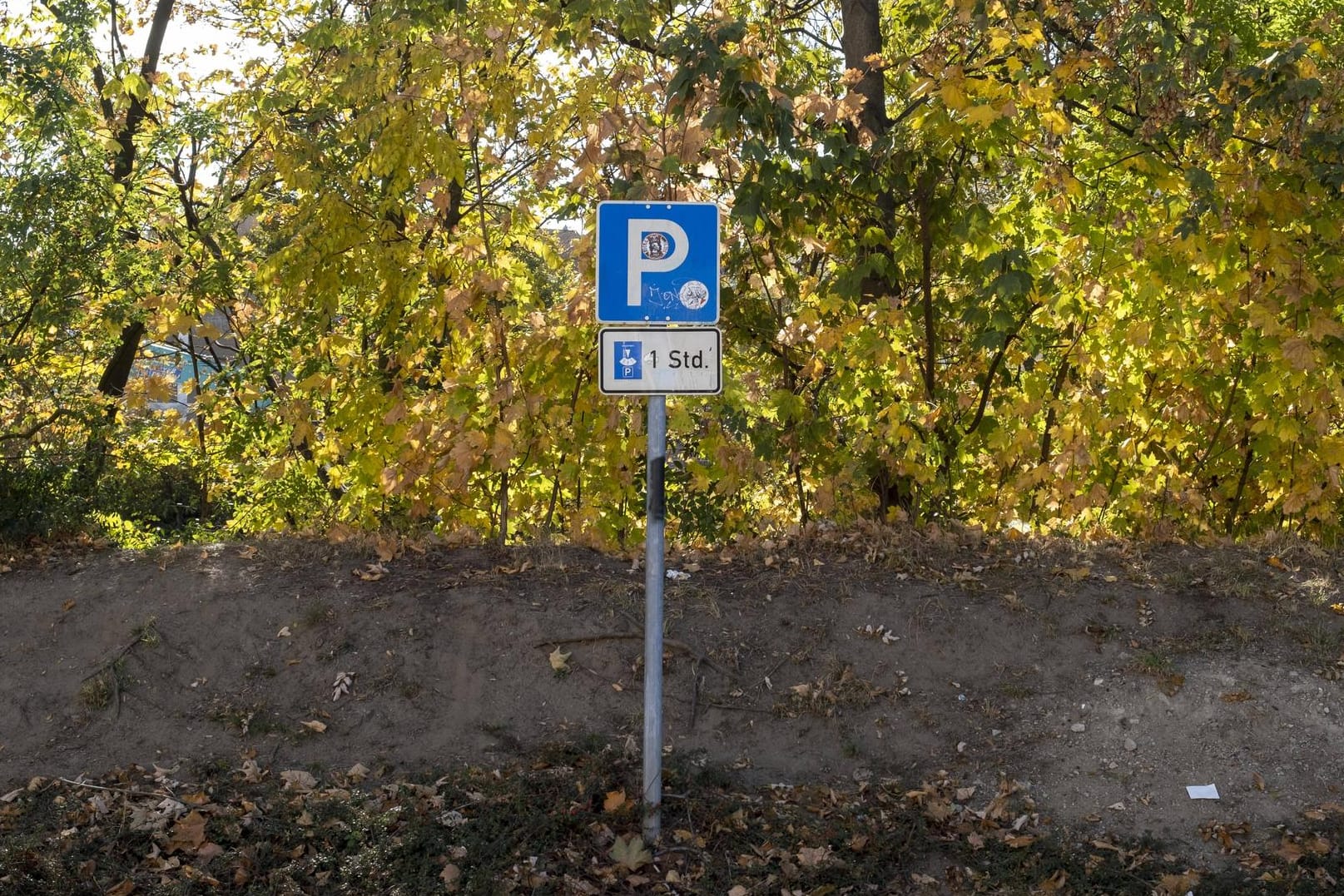 Parkplatz eines Supermarktes: Das Auto einer 85-Jährigen überschlug sich. (Symbolbild)