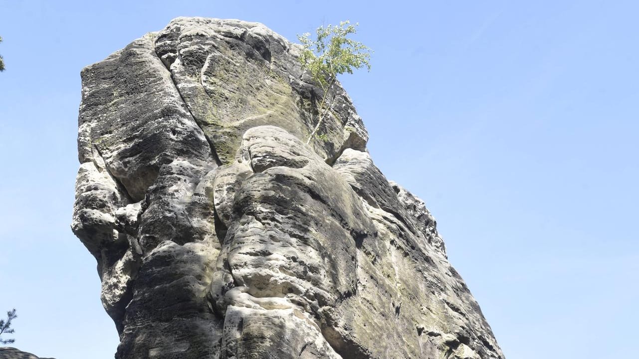 Blick auf den Gamrigfelsen: Der 253 Meter hohe Berg in der Sächsischen Schweiz ist ein beliebtes Ausflugsziel.