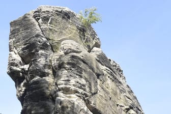 Blick auf den Gamrigfelsen: Der 253 Meter hohe Berg in der Sächsischen Schweiz ist ein beliebtes Ausflugsziel.