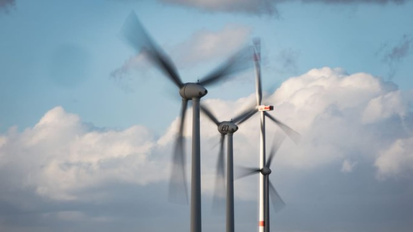 Windräder: Insgesamt summieren sich die Insektenverluste durch Windkraftanlagen auf 1.200 Tonnen pro Jahr.
