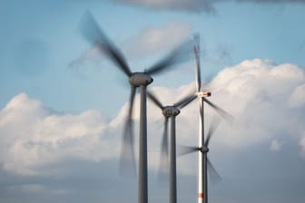 Windräder: Insgesamt summieren sich die Insektenverluste durch Windkraftanlagen auf 1.200 Tonnen pro Jahr.