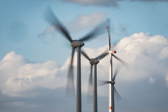 Windräder: Insgesamt summieren sich die Insektenverluste durch Windkraftanlagen auf 1.200 Tonnen pro Jahr.