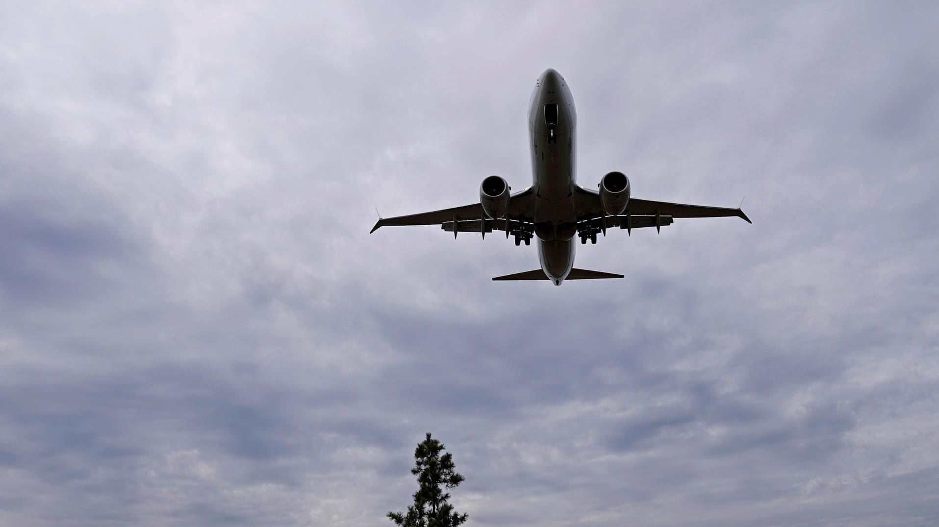 Ein ähnliches Flugzeug wie die hier gezeigte Boeing 737 MAX 8 musste auf einer französischen Insel notlanden (Symbolbild). Boeing steht nach zwei Abstürzen von Flugzeugen vom Typ Boeing 737 MAX 8 massiv in der Kritik.