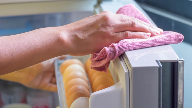 Kühlschrank putzen: Das Innere und die Dichtungen des Kühlschranks sollten regelmäßig geputzt werden.