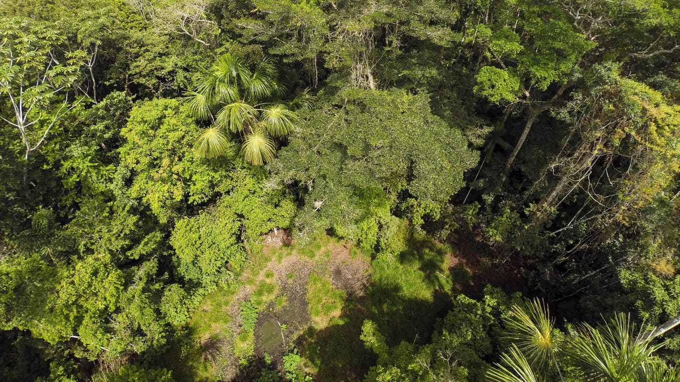Regenwald-Landschaften aus der Vogelperspektive, Peru: Schlechtes Wetter hatte die Rettungsaktion im Amazonasgebiet aber zunächst verhindert.