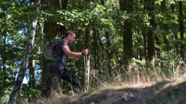 Wanderurlaub am besten mit Impfung: 2019 sind in Deutschland vermutlich besonders viele Zecken unterwegs.